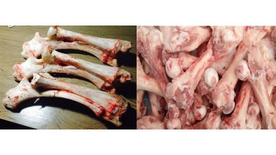 酶法水解生产骨蛋白肽可用酶制剂有哪些？