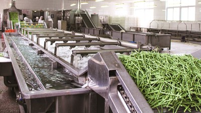 纤维素酶的主要作用领域