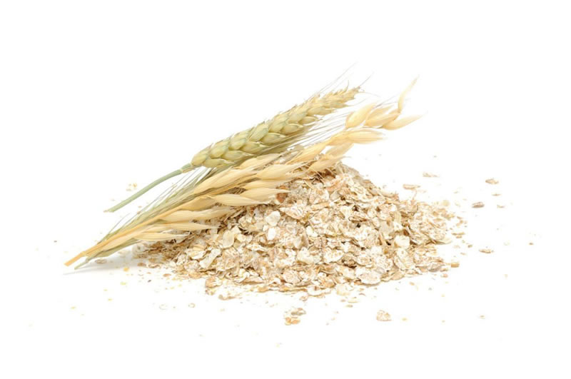 燕麦植物蛋白饮料原料