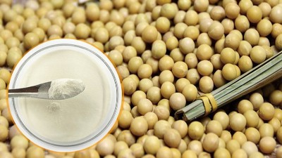 酶解法制备大豆蛋白肽具有什么优势？