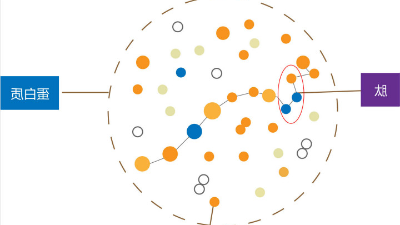 生物活性肽的制取离不开酶解技术的支持
