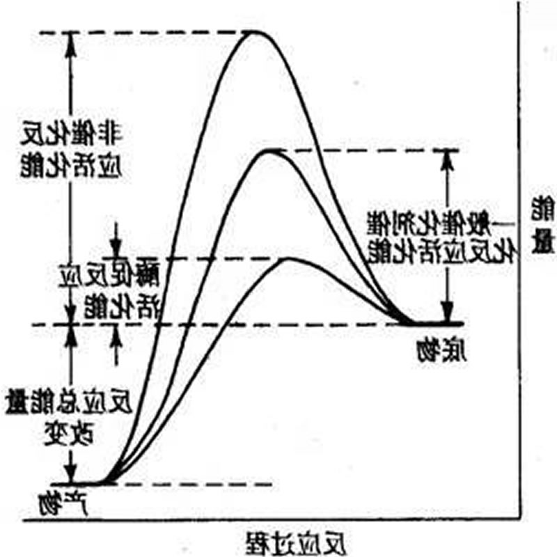 酶制剂作用机理