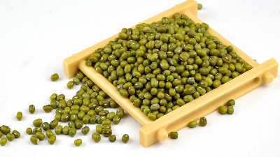 酶解技术如何提升绿豆饮品的营养价值和品质？