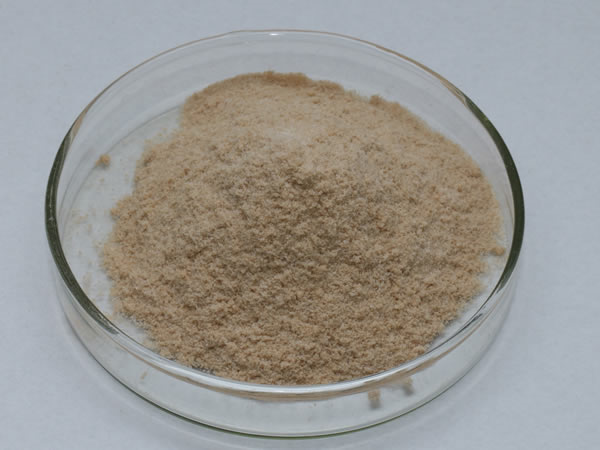 膜清洗酶（膜清洗剂，洗涤酶）