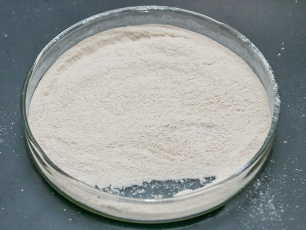 鱼皮胶原蛋白水解酶（胶原蛋白酶，鱼胶原蛋白肽提取酶）