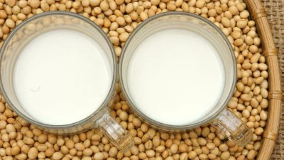 大豆蛋白质降解的方法