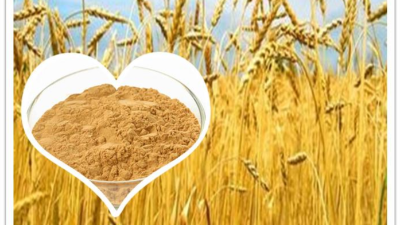 酶法制备小麦肽或将成为行业新宠