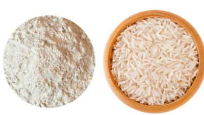 复合酶制剂助力大米蛋白多肽品质升级