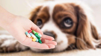 中性蛋白酶在医药及兽药领域的应用