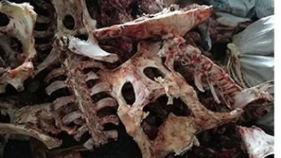 牛骨、猪骨蛋白胨生产，适合的酶制剂有哪些呢？