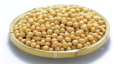 复合酶制剂助力大豆肽苦味弱化品质升级